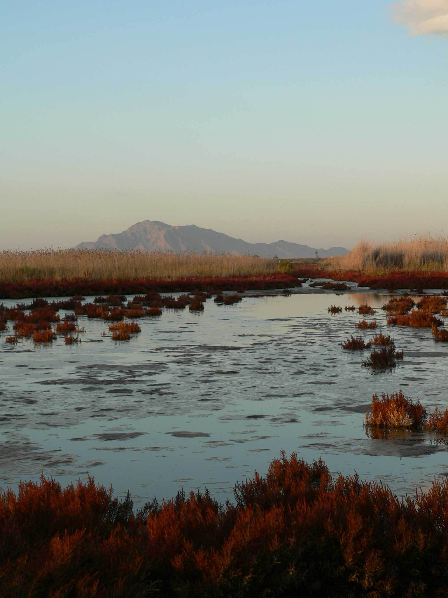 El Hondo. Embalse de Levante; al fondo Sierra de Callosa del Segura